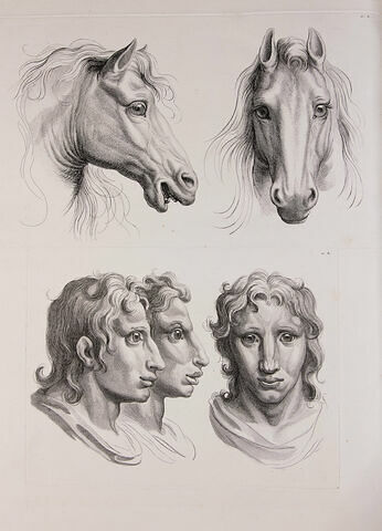 Deux têtes de cheval et trois têtes d'hommes en relation avec celles-ci.