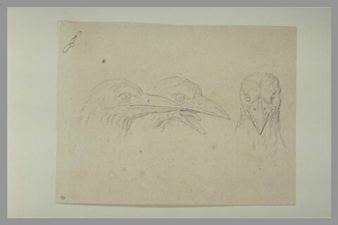 Trois têtes de corbeaux, image 2/2