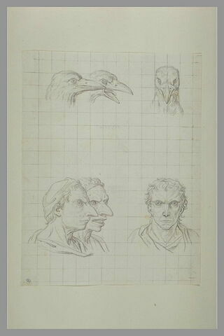 Trois têtes de corbeaux et trois têtes d'hommes en relation avec le corbeau, image 2/2