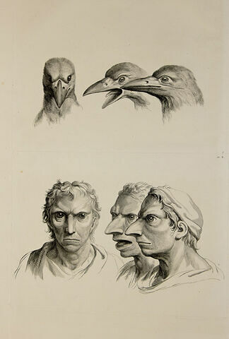 Trois têtes de corbeaux et trois têtes d'homme en relation avec le corbeau.