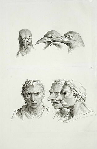 Trois têtes de corbeaux et trois têtes d'homme en relation avec le corbeau., image 2/2