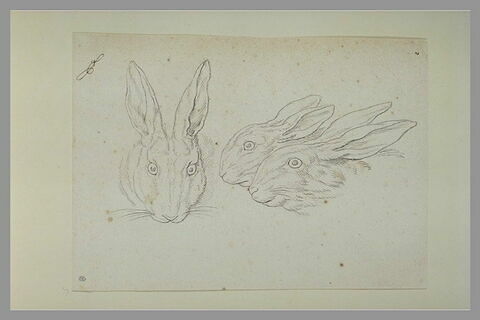 Deux têtes de lièvre et une tête de lapin, image 2/2