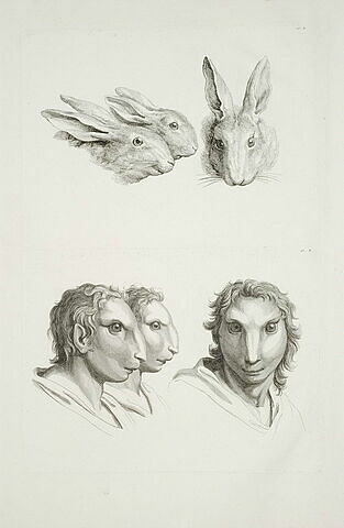 Trois têtes de lièvres et trois têtes d'hommes en relation avec le lièvre, image 2/2