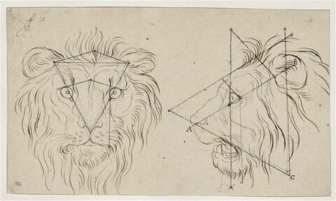 Deux têtes de lion, l'une de face, l'autre de profil