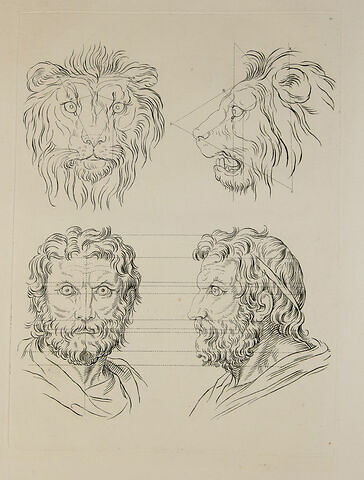 Deux têtes de lion et deux têtes d'homme en relation avec le lion.
