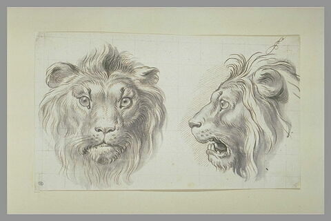 Deux têtes de lion, l'une de face et l'autre de profil, image 2/2