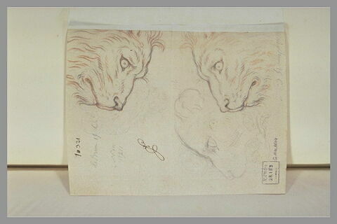 Trois têtes de lion, image 2/3