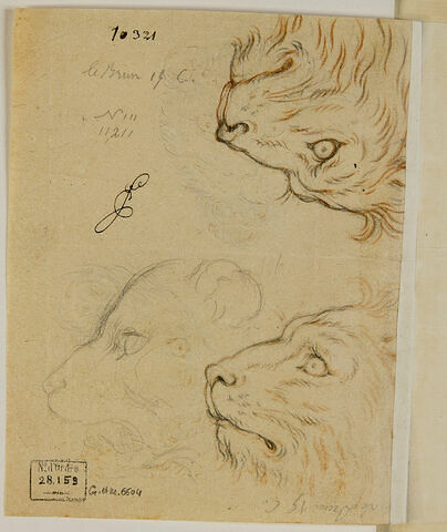 Trois têtes de lion, image 3/3