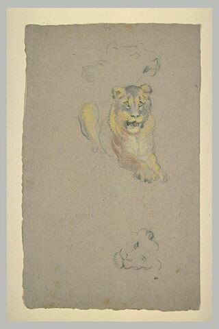 Un lion couché et deux têtes de lionne, image 2/2