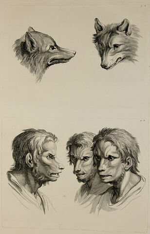 Deux têtes de loups et trois têtes d'homme en relation avec le loup.