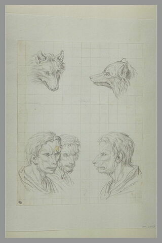 Deux têtes de loups et trois têtes d'hommes en relation avec le loup, image 2/2