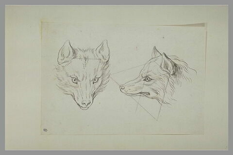 Deux têtes de loup, l'une de face et l'autre de profil, image 2/2