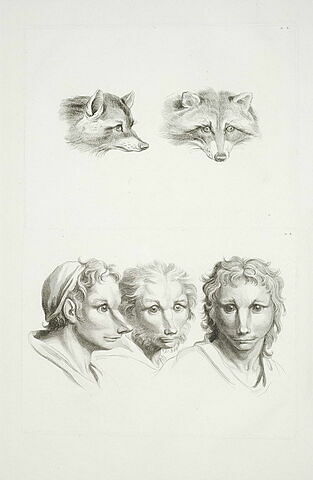 Deux têtes de renard. Trois têtes d'homme en relation avec le renard., image 2/2