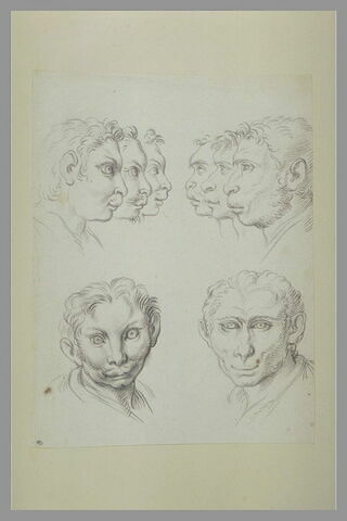 Huit têtes d'hommes en relation avec le chat et le singe, image 2/2