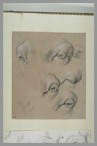 Etudes d'yeux de mouton, image 2/2