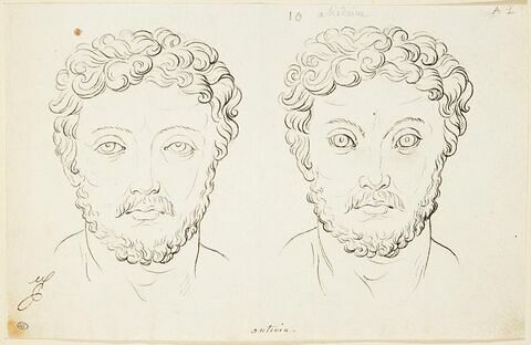 Deux têtes d'Antonin, image 3/3