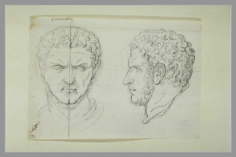 Tête de Caracalla, image 2/3