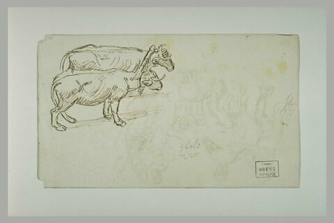 Deux boeufs attelés, image 1/1
