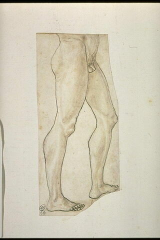 Moitié inférieure du corps d'un homme nu, vu profil vers la droite, image 4/6
