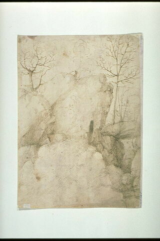 Rochers avec des arbres, image 2/2