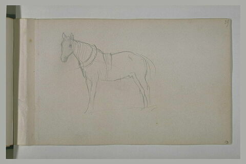 Cheval, image 2/3