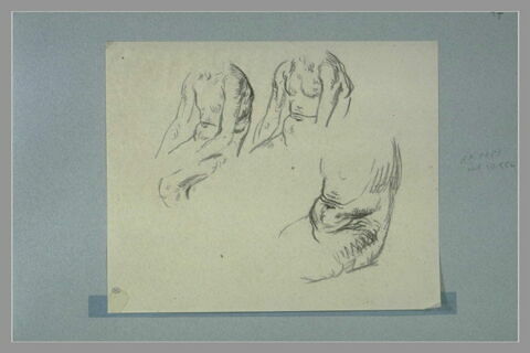 Trois études de torses d'hommes nus, image 1/1