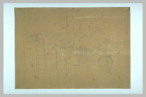 Paysan et paysanne sur une route bordée d'arbres, image 1/1