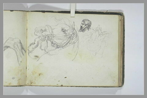 Tête de cheval ; tête d'homme ; figure sur un char, image 1/2