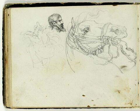 Tête de cheval ; tête d'homme ; figure sur un char, image 2/2