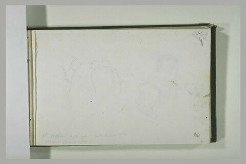 Etude de selle et du postérieur d'un équidé; annotation manuscrite, image 6/6