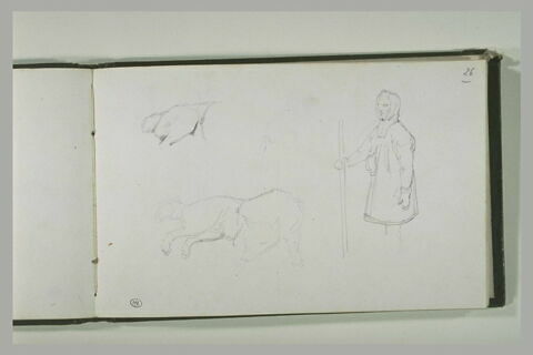 Etudes d'un chien et d'un Lapon, image 2/2