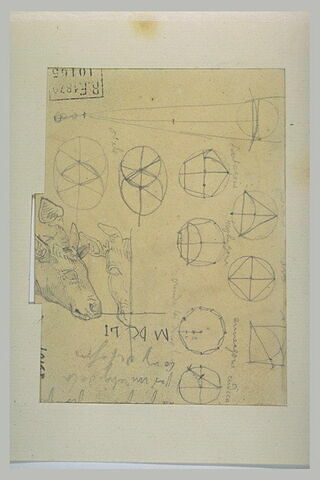Divers croquis géométriques dont deux têtes de taureaux et notes, image 1/1