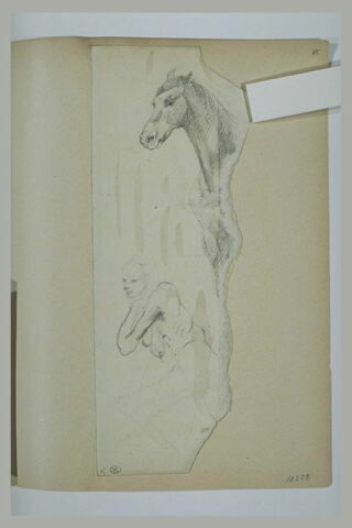 Tête et poitrail de cheval ; vieille femme nue de profil, image 1/1