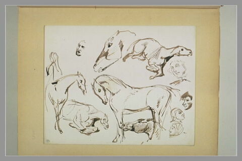 Etudes de chevaux, image 1/1