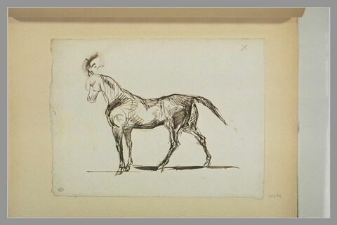 Cheval tourné vers la gauche, image 1/1