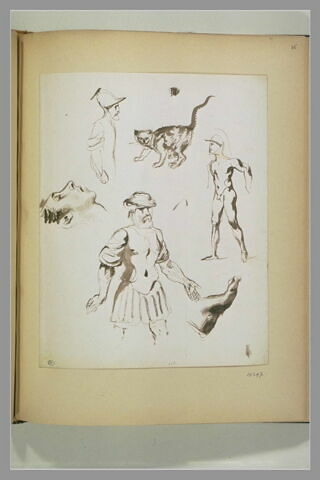 Etudes diverses de guerriers antiques et d'un chat, image 1/1