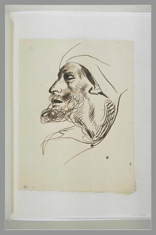 Tête d'homme barbu, de type oriental, de profil vers la gauche, image 1/1
