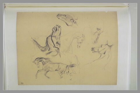 Six études de chevaux et de têtes de chevaux, image 1/1