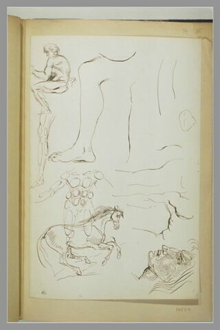 Etudes d'un cheval, d'une tête, de nus et de fragments de corps, image 1/1
