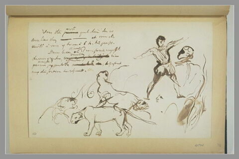 Etudes  de lionnes et de figures en costume de la Renaissance, image 1/1