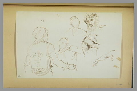 Etudes de figures à mi-corps et d'un visage d'homme barbu, image 1/1