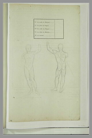 Deux études d'homme nu, de face et de dos, image 1/2