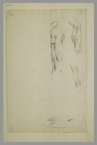 Etudes des muscles de la jambe, image 1/1