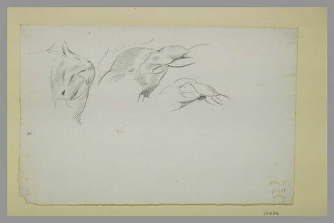 Trois études d'épaule d'écorché, image 1/1