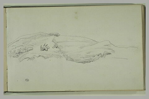 Etude de roches, image 1/1