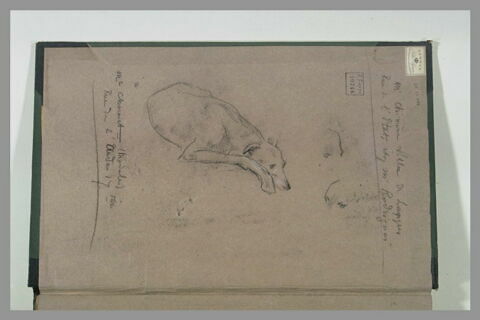 Chien assis, et annotations, image 1/1