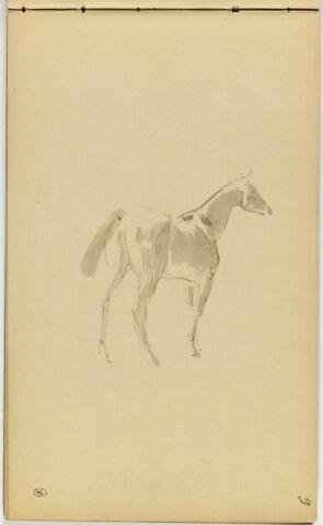 Cheval, image 1/2