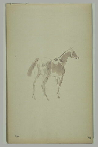 Cheval, image 2/2