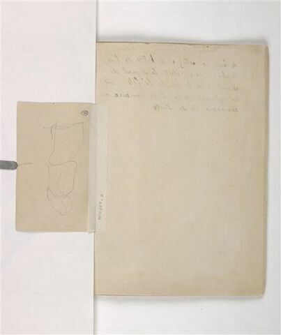 Illustation mahorie, image 1/2