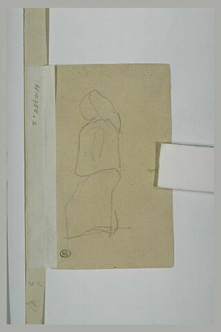 Illustation mahorie, image 2/2